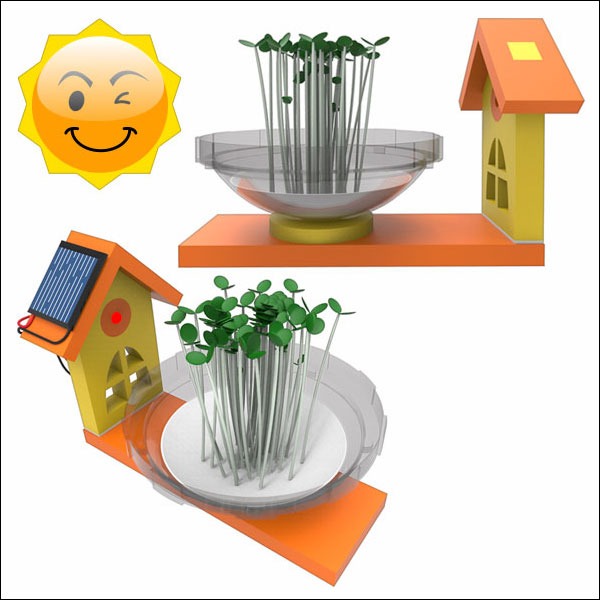 뉴 EVA 새싹 정원 만들기(일반형/태양광 주택형)